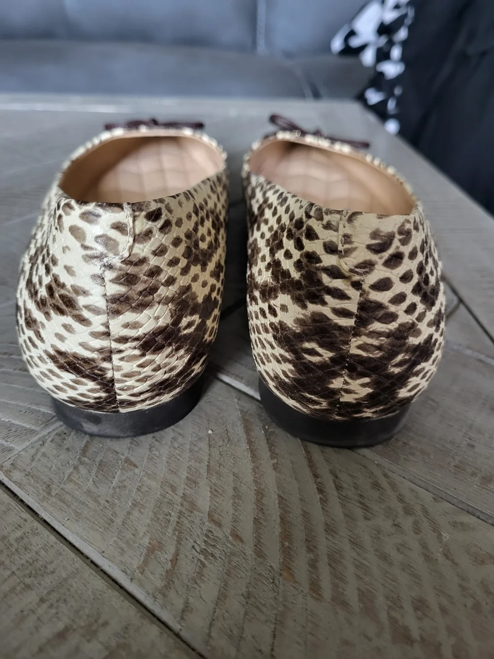 Coach Snake-Print Pointed Ballet Flats in Cream and Black - Picture 4 of 7
